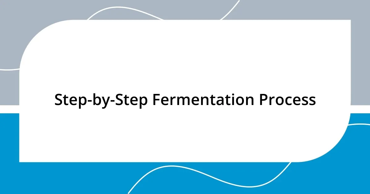 Step-by-Step Fermentation Process